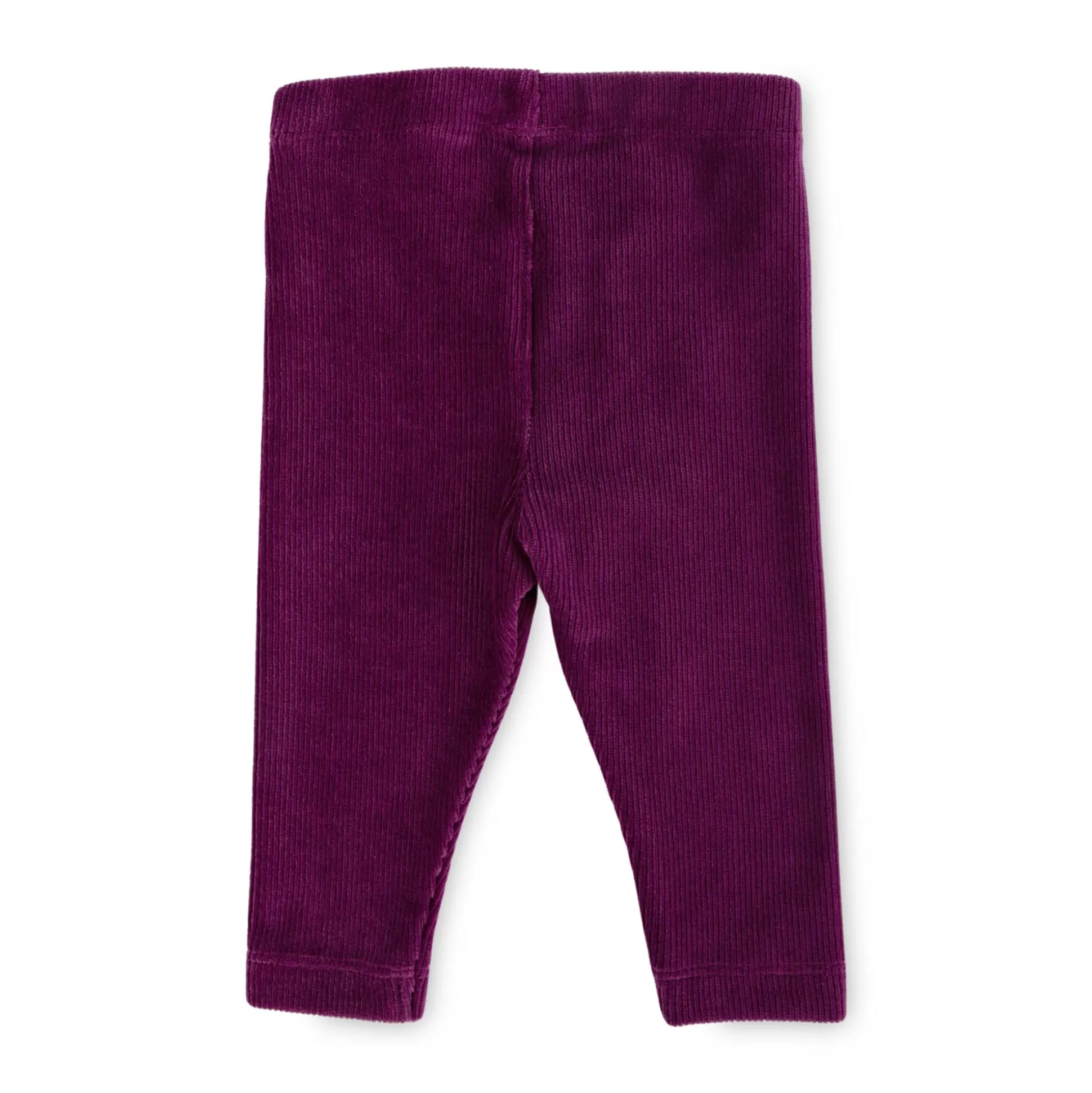 Bebe Sigikid Baby Cord Leggings In Lila