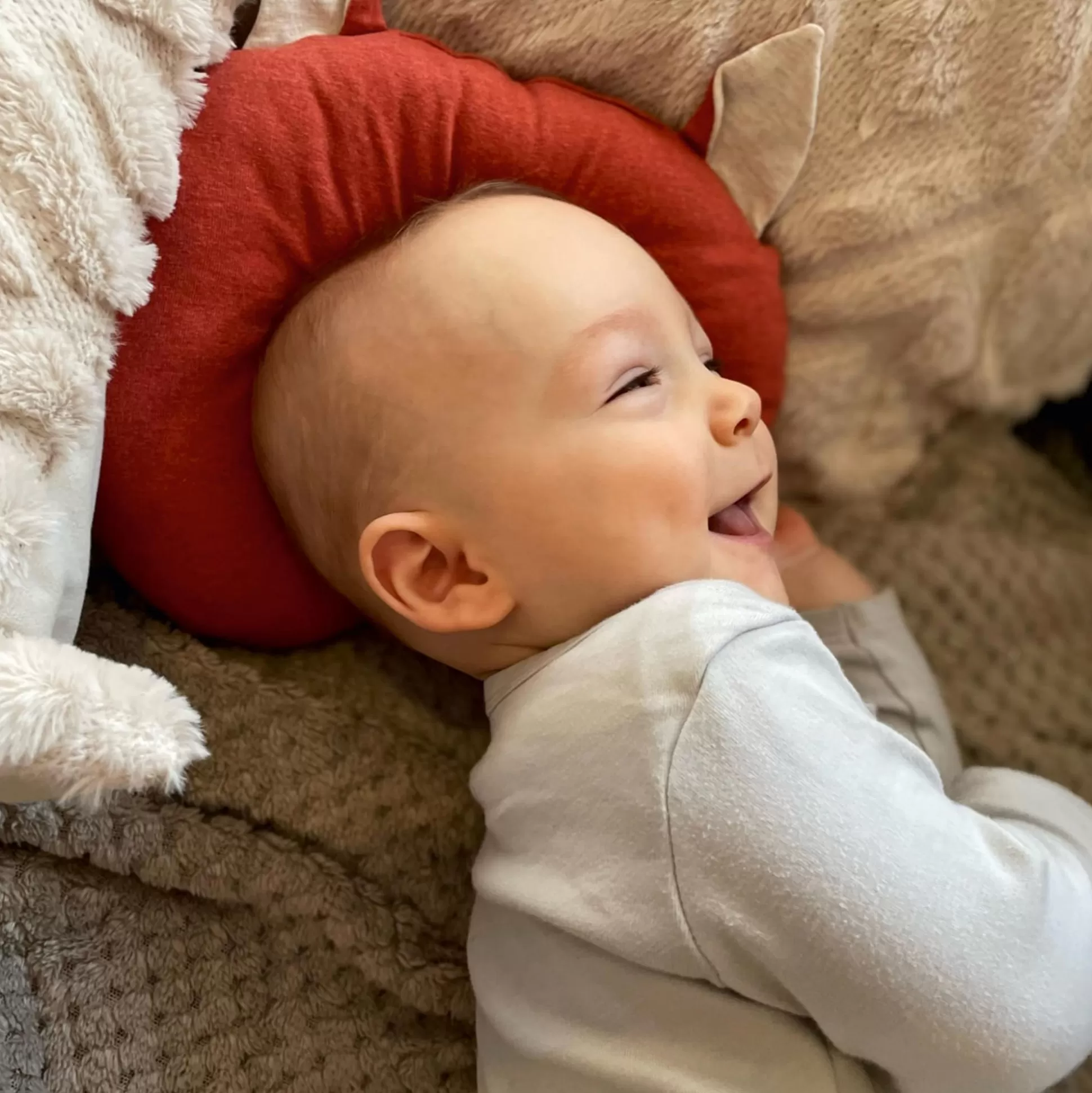 Bebe Sigikid Baby Nackenkissen Fuchs